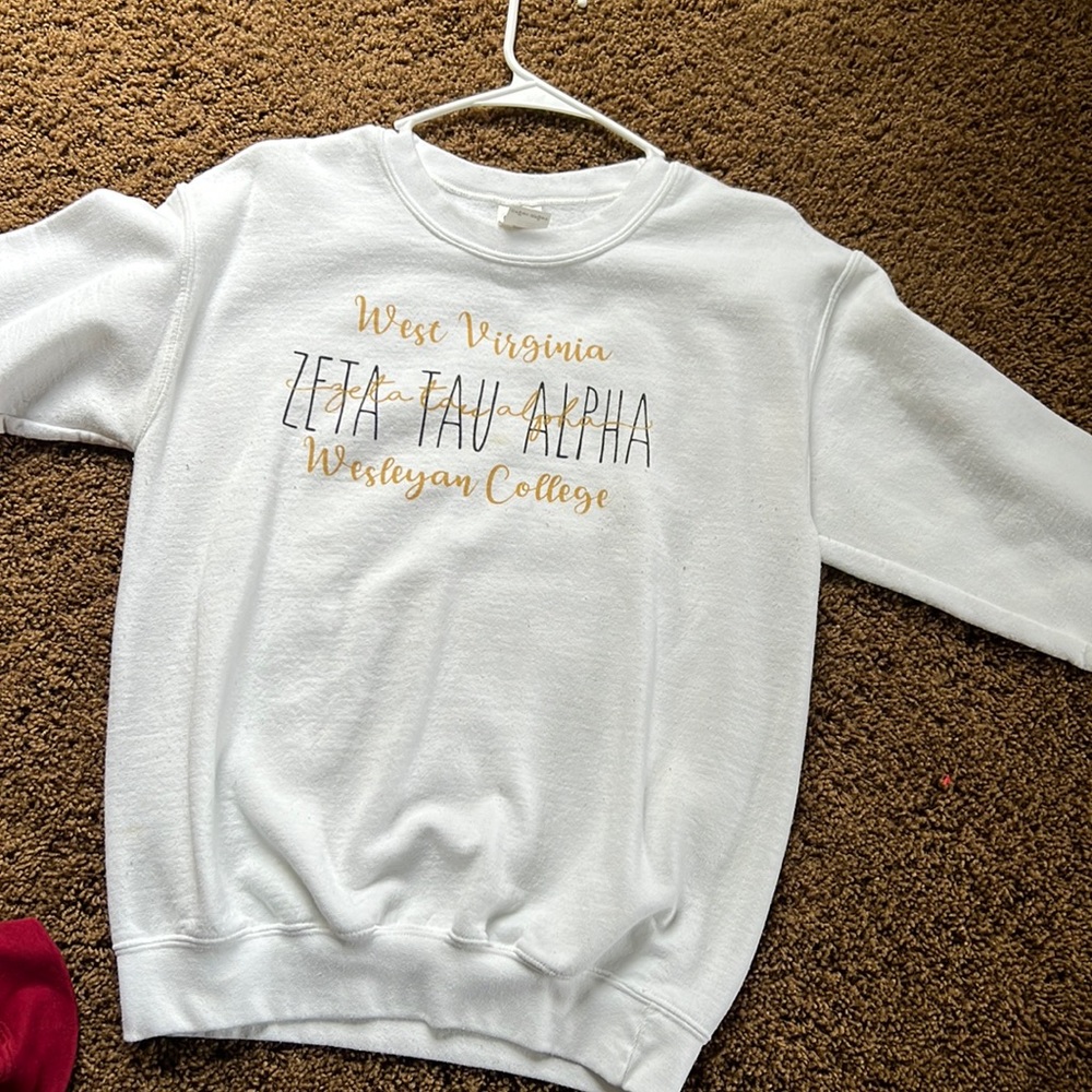 ZTA crew neck
